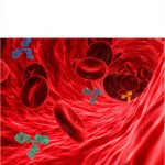 Pathology CPD eBook DL Publishers Lab Professionals-0