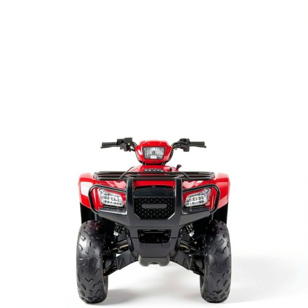 Fexhull Rear Brake Plate Panel for Honda ATV-1
