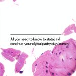 Digital Pathology Place Pathology Laboratory Medicine Guide-0