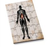 Diagnosis Rare Medical Cases Kindle Book by Free Reign-0