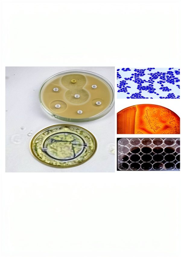 Pathology Kindle Book by Dr Subha Parameswaran-0
