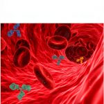 Pathology Lab Medicine Kindle Book by DL Publishers-0